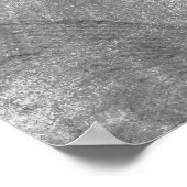 ALBRECHT DURER'S PRAYING HANDS 1508 POSTER (Hoek)