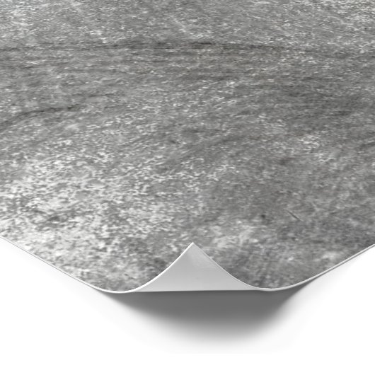 ALBRECHT DURER'S PRAYING HANDS 1508 POSTER (Hoek)