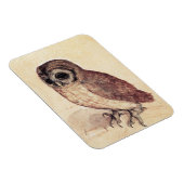 Albrecht tijdens de kleine uil magneet (Rechterzijde)