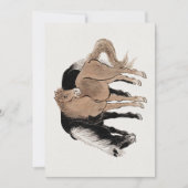 Album van Horses Sketches door Katsushika Hokusai  Kaart (Voorkant)