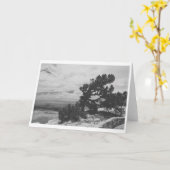 ALBUQUERQUE LOOKOUT KAART (Gele Bloem)