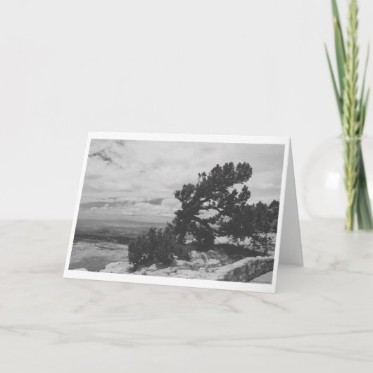 ALBUQUERQUE LOOKOUT KAART (Voorkant)