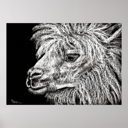 alcapa poster (Voorkant)