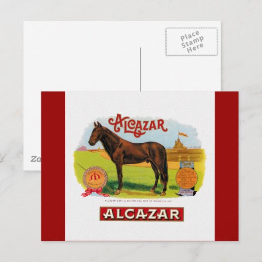 Alcazar, het racepaard briefkaart (Voorkant / Achterkant)