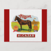 Alcazar, het racepaard briefkaart (Voorkant)
