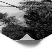 Alcazar Hotel, St Augustine, Florida, 1903 Poster (Hoek)