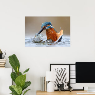Alcedo Atthis ijsvogel jagend water Luca Casale Poster
