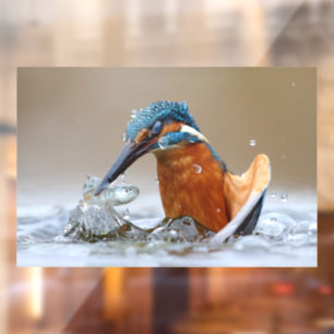 Alcedo Atthis ijsvogel jagend water Luca Casale Raamsticker
