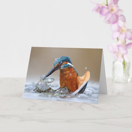 Alcedo Atthis Kingfisher jager Luca Casale Kaart (Orchidee)