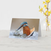 Alcedo Atthis Kingfisher jager Luca Casale Kaart (Gele Bloem)