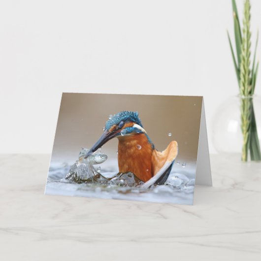 Alcedo Atthis Kingfisher jager Luca Casale Kaart (Voorkant)