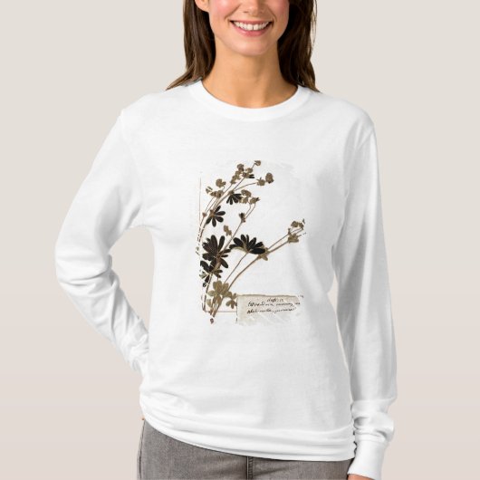 Alchemilla uit een Herbarium T-shirt (Voorkant)