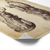  alchemische illustratie poster (Hoek)