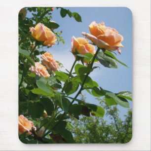 'Alchemist' Roos Mousepad Muismat