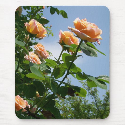 'Alchemist' Roos Mousepad Muismat (Voorkant)