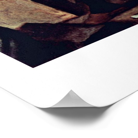 Alchemist van Pietro Longhi Poster (Hoek)