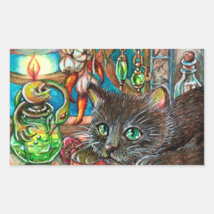 Alchemistisch kat rechthoekige sticker