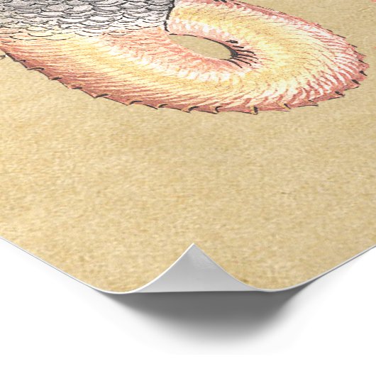 Alchemy Dragon Magical Symbol Poster (Hoek)