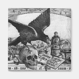 Alchemy Lab Crow and Skull Magnets Magneet