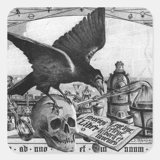 Alchemy Lab en Human Skull Stickers (Voorkant)