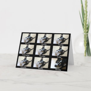 Alcoholics Anonymous "Blijf terugkomen..." Kaart