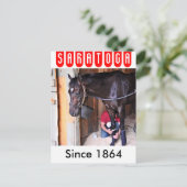 Alcolite- Horse Haven Barns in Saratoga Briefkaart (Staand voorkant)