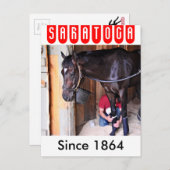 Alcolite- Horse Haven Barns in Saratoga Briefkaart (Voorkant / Achterkant)