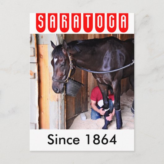 Alcolite- Horse Haven Barns in Saratoga Briefkaart (Voorkant)