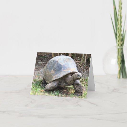 Aldabra Giant Tortoise Foto gevouwen Note Kaart (Voorkant)