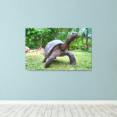 Aldabra reuzenschildpad canvas afdruk (Insitu (Houten vloer))