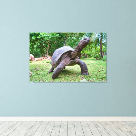 Aldabra reuzenschildpad canvas afdruk (Insitu (Houten vloer))