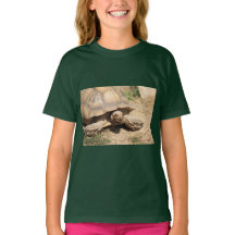 Aldabra
