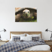 Aldabra Tortoise Feeding Canvas Afdruk (Insitu (Slaapkamer))
