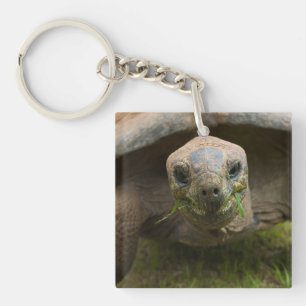 Aldabra Tortoise Feeding Sleutelhanger