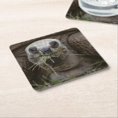 Aldabra Tortoise Grazing Kartonnen Onderzetters (Schuin)