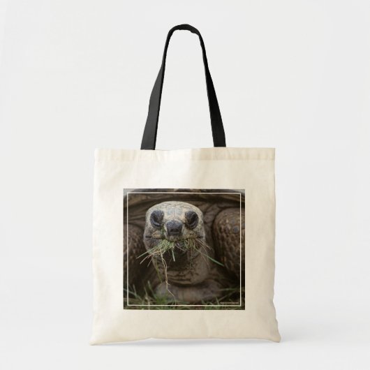 Aldabra Tortoise Grazing Tote Bag (Voorkant)