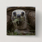 Aldabra Tortoise Grazing Vierkante Button 5,1 Cm (Voorkant)