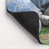 Aldabra Tortoises Mousepad Muismat (Hoek)