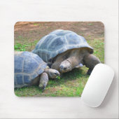 Aldabra Tortoises Mousepad Muismat (Met muis)