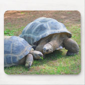 Aldabra Tortoises Mousepad Muismat (Voorkant)