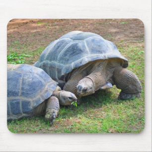 Aldabra Tortoises Mousepad Muismat