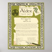ALDER CELTIC SACRED TREE POSTER (Voorkant)