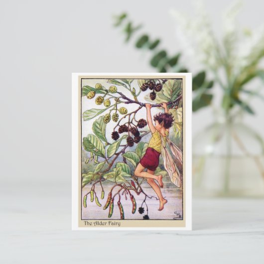 Alder Fairy Briefkaart (Staand voorkant)