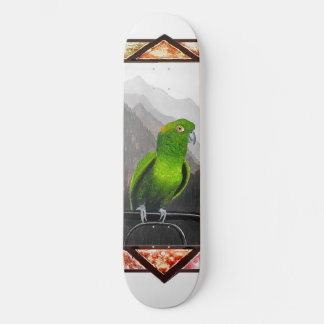 Aldo mijn amazonepapegaai persoonlijk skateboard