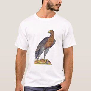 Aldrovandi Bird of Prey, Hawk of Eagle T-shirt