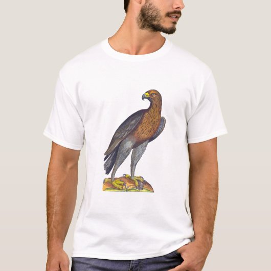 Aldrovandi Bird of Prey, Hawk of Eagle T-shirt (Voorkant)
