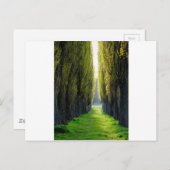 ALEJAWroclaw Polen Briefkaart (Voorkant / Achterkant)