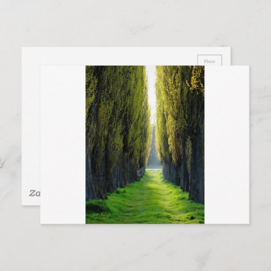 ALEJAWroclaw Polen Briefkaart (Voorkant / Achterkant)