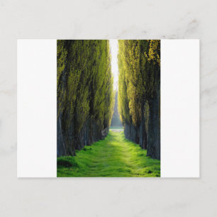 ALEJAWroclaw Polen Briefkaart