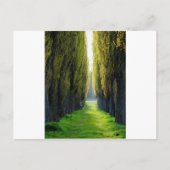 ALEJAWroclaw Polen Briefkaart (Voorkant)